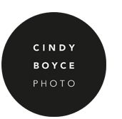 Cindy Boyce Photo